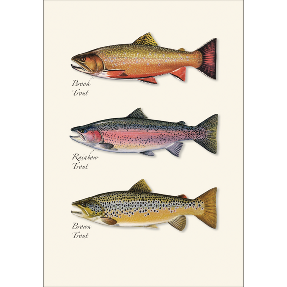 Trout Trio Card and Envelope Set of 8