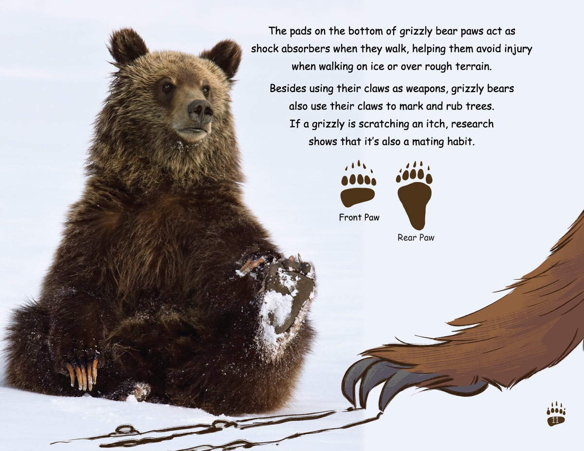 Ooohyeah "Be Grizzly" Graphic T-Shirt - Cotton Blend, Pull-On Closure, Machine Washable (Sizes 5-10) - View #2