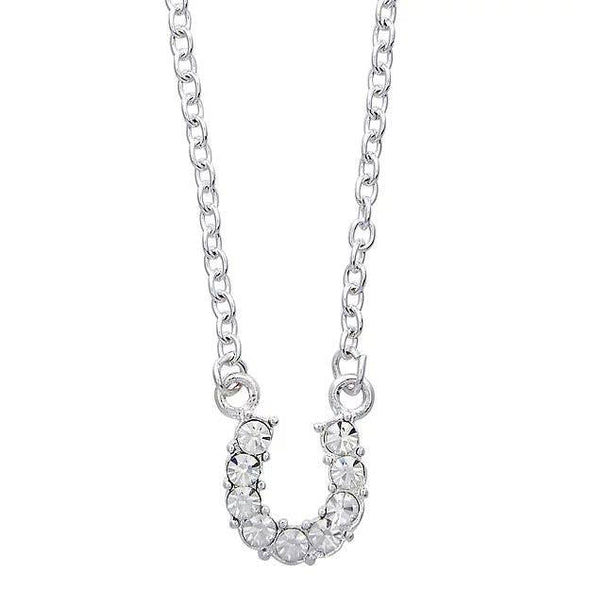 AWST Int'l Aqua Rhinestone Horseshoe Necklace w/Horse Head Gift Box