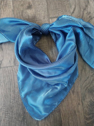 Wild Rag MISC 402 Tiny Pin Polka Dot Blue Cowboy Western Neck Scarf Bandanna by Double B Wild Rags