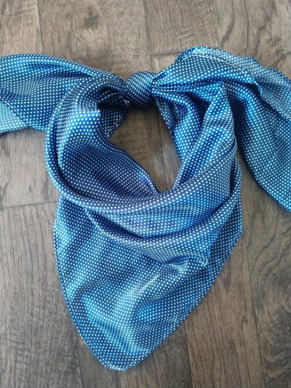 Wild Rag MISC 402 Tiny Pin Polka Dot Blue Cowboy Western Neck Scarf Bandanna by Double B Wild Rags