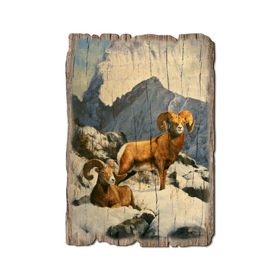 Mountain Kings Rams - Wood Rustic Edge Postcards