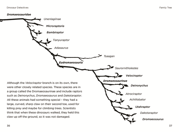 So You Think You Know About Velociraptor?