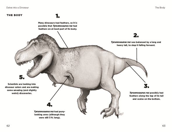 So You Think You Know About Tyrannosaurus Rex?