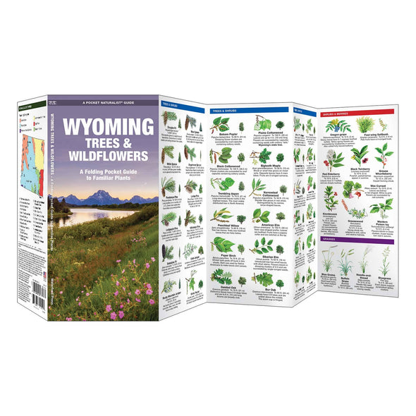 Wyoming Trees & Wildflowers Nature Guide