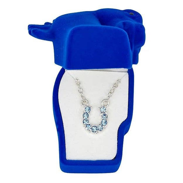 Aqua Rhinestone Horseshoe Necklace