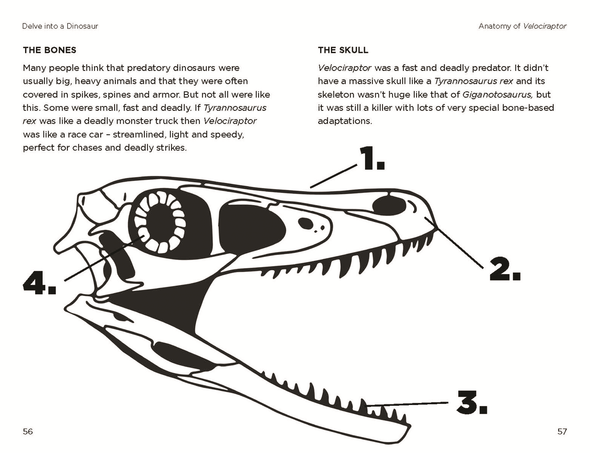 So You Think You Know About Velociraptor?