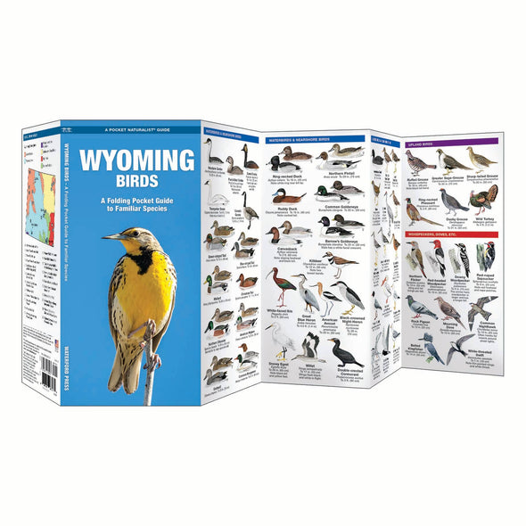 Wyoming Birds Nature Guide