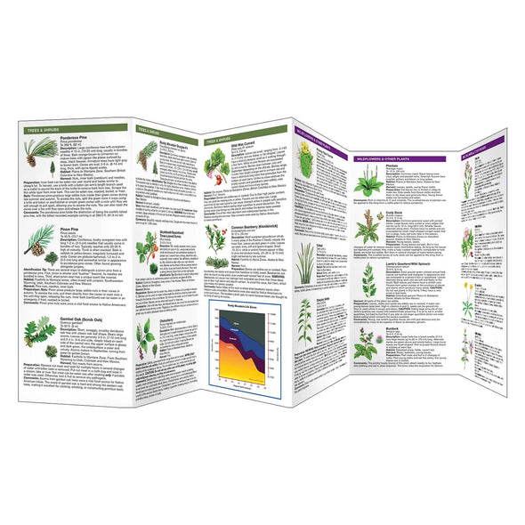 Edible Survival Plants of the Rocky Mountains Field Guide