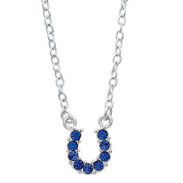 AWST Int'l Aqua Rhinestone Horseshoe Necklace w/Horse Head Gift Box