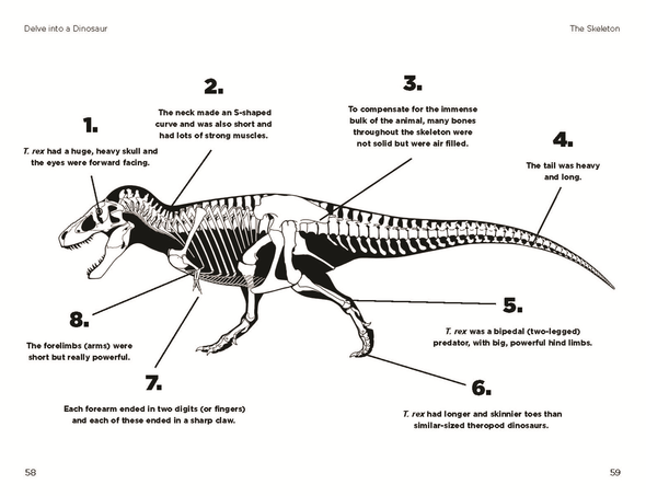 So You Think You Know About Tyrannosaurus Rex?