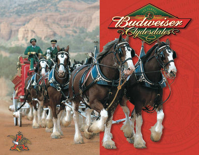 Budweiser - Clydesdales Tin Sign