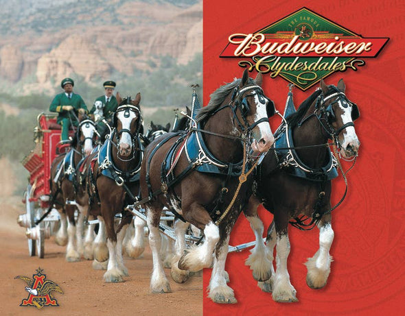 Budweiser - Clydesdales Tin Sign