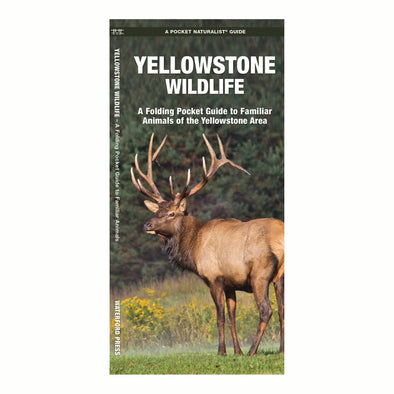 Yellowstone Wildlife Nature Guide