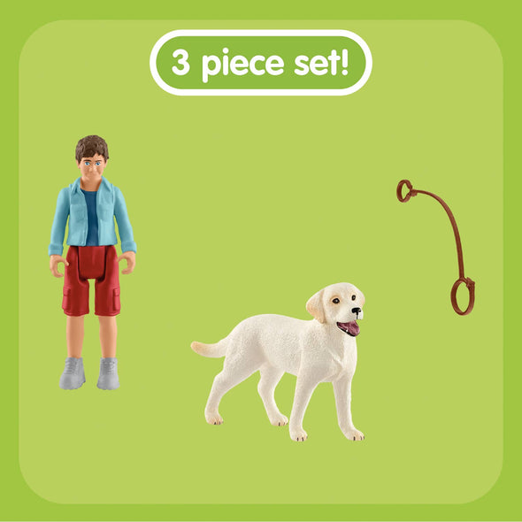 Walking with Labrador retriever Playset