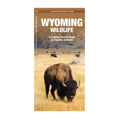 Wyoming Wildlife Nature Guide