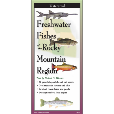 Freshwater Fishes of the Rocky Mountain Region