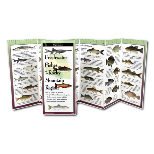 Freshwater Fishes of the Rocky Mountain Region