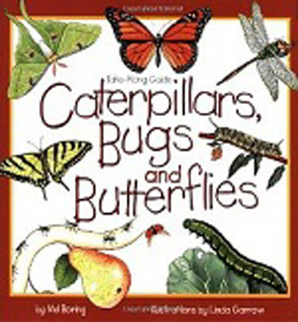 Caterpillars, Bugs and Butterflies: Take-Along Guide