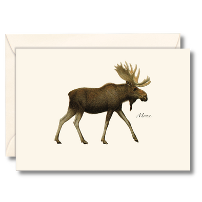Moose Notecard Set, Recycled Paper, 8 Cards
