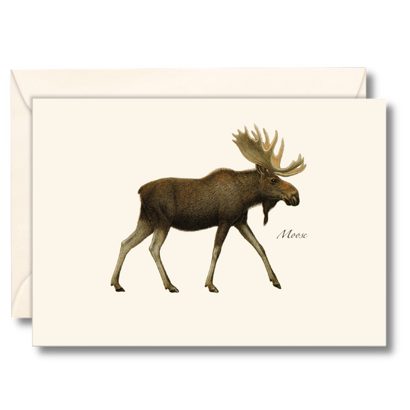 Moose Notecard Set, Recycled Paper, 8 Cards