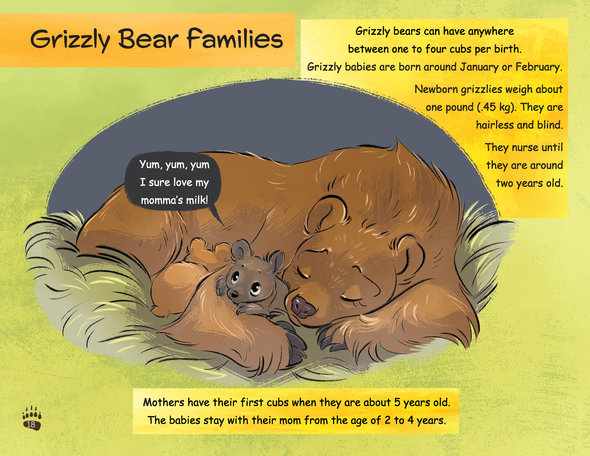 Learning About Grizzlies