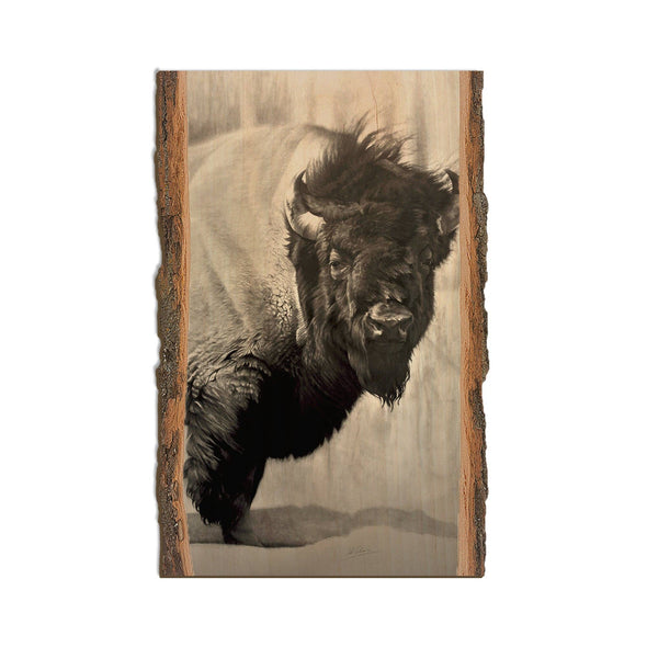 Icon Bison - Wood Magnets