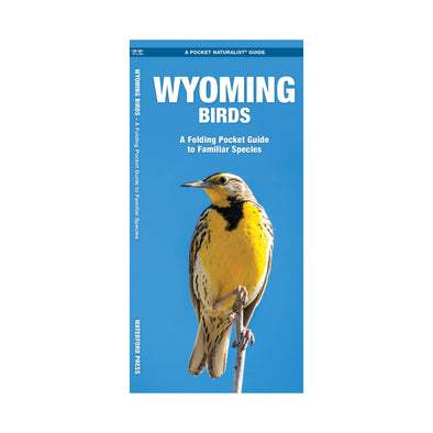 Wyoming Birds Nature Guide