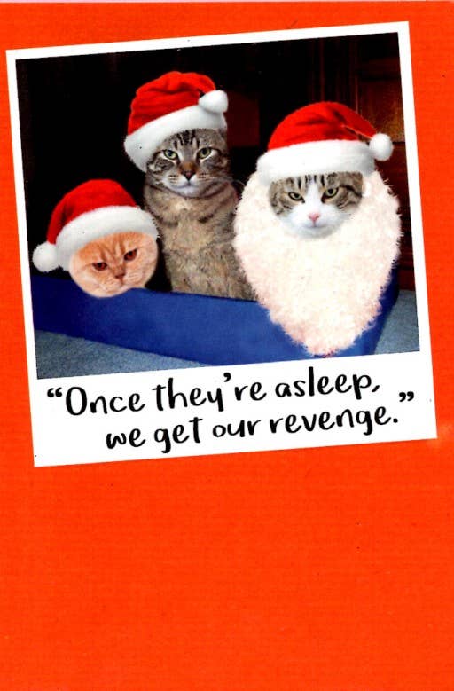 Christmas Humorous | AGRP | SM | RX07320335V