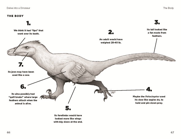 So You Think You Know About Velociraptor?