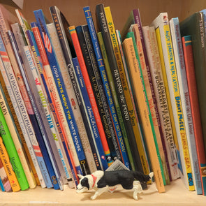 Children's Theme Book Box