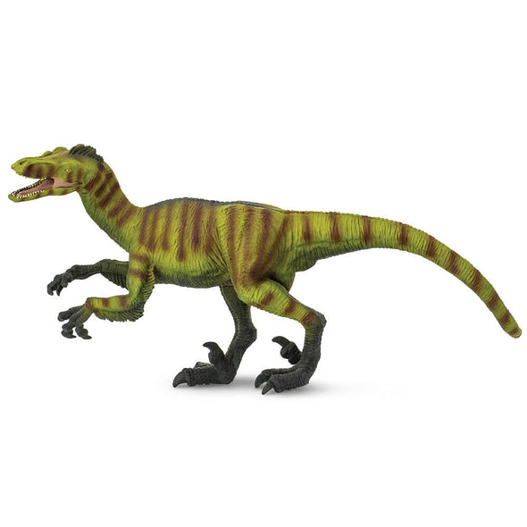 Velociraptor - 30001
