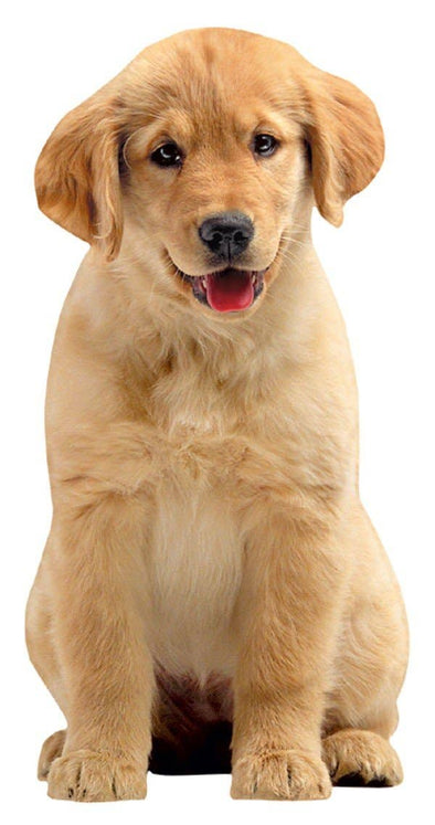 Golden Retriever Puppy Blank Diecut Card