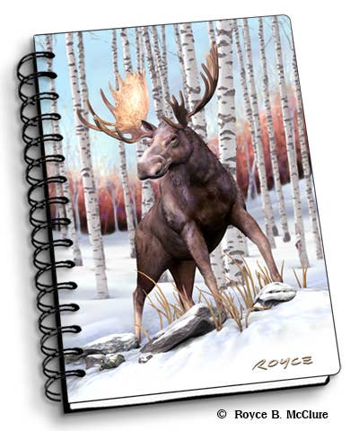 Moose 3D Notebook