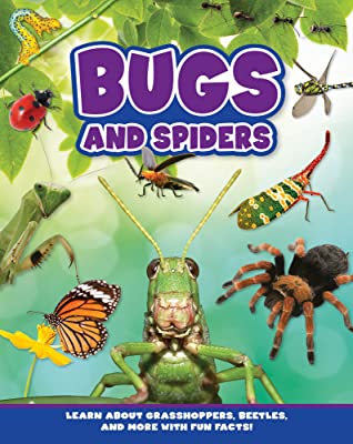 Bugs and Spiders | Flying Frog