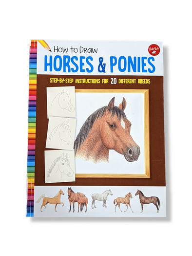 How to draw horses and ponies