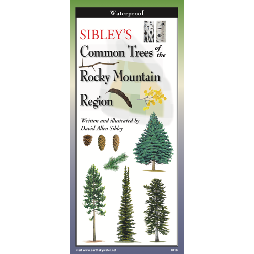 Sibley's Trees of Rocky Mtn. Region