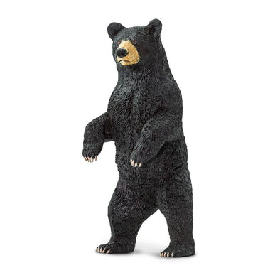 Black Bear - 181629